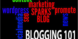 SPARKS! Blogging Seminar January 11, 2013